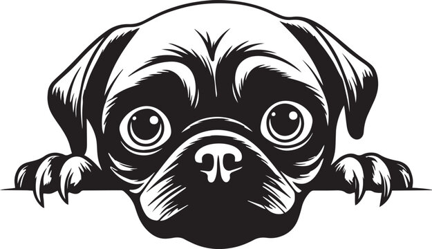 Peeking Pug face, Dog head, isolated on a white background, Vector, Illustration