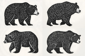 Hand drawn bear in a minimal linocut style. Black and white graphic illustration isolated on white background