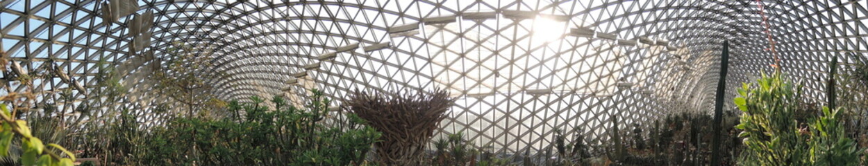 Xiamen vast botanical garden in China features glass houses, greenhouses, and expansive outdoor lakes and gardens with thousands of plant species. A serene haven for nature lovers.

