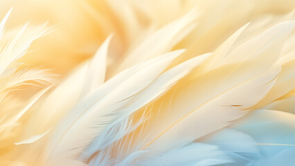 Feathered Serenity: Macro of White Bird Wing