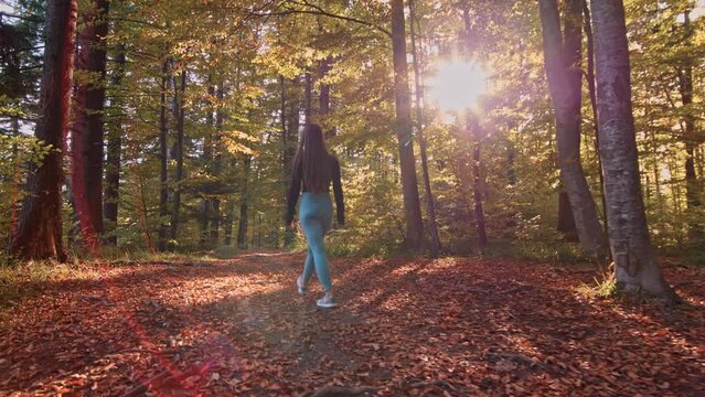 Young woman walks through natural forest. Girl hiking alone in nature at sunset. Active lifestyle. People in forest. Beautiful female explore the wild forest on holiday