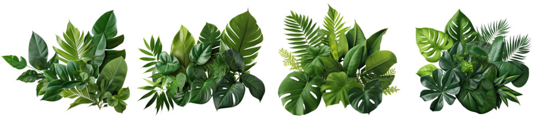 Collection of green leaves of tropical plants bush (Monstera, palm, rubber plant, pine, bird's nest...