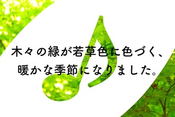 音符と若葉