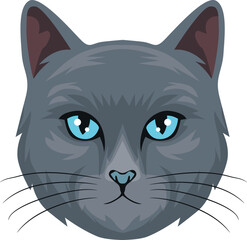 big face of cat cartoon icon