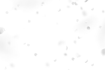 White rose collection set of petals isolated on a transparent background. Flower petals png. Floating pink rose petal. Love valentines day postcard