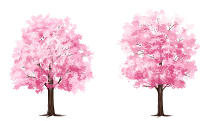Obraz premium pink cherry tree, Vertor set of spring blossom tree,bloomimg plants side view for landscape elevation and section,eco environment concept design,watercolor sakura illustration,colorful season