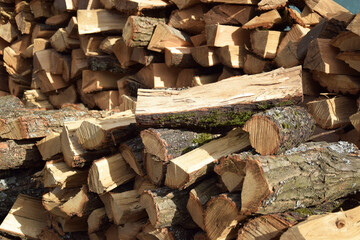 The chopped tree was piled in a pile. - obrazy, fototapety, plakaty