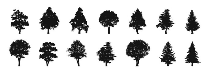  Tree silhouettes collection. Tree vector icons. Forest silhouette.