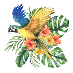Tropical palm leaves, monstera and flowers of plumeria, hibiscus, bright juicy with blue-yellow macaw parrot. Hand drawn watercolor botanical illustration. Composition isolated from the background. - obrazy, fototapety, plakaty