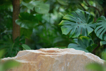 Stone tabletop podium floor in outdoors tropical garden forest blurred green leaf plant nature background.Natural product placement pedestal stand display,jungle paradise concept.