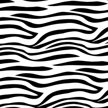 zebra pattern © imad