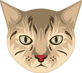 big face of cat cartoon icon