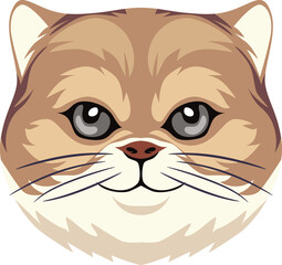 big face of cat cartoon icon