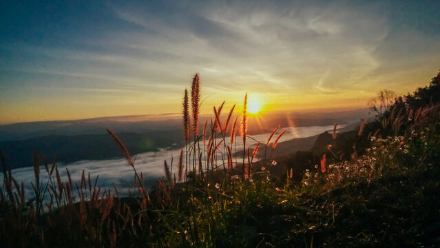 Morning fog at doi samer dao at Sri Nan national park, Thailand. Beautiful landscape Sea fog or sea of cloud view in the morning. Sunbeam in the mountains and mist.