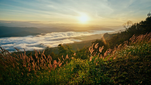 Morning fog at doi samer dao at Sri Nan national park, Thailand. Beautiful landscape Sea fog or sea of cloud view in the morning. Sunbeam in the mountains and mist.