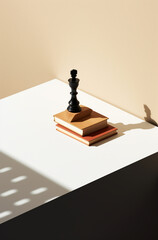 illustration minimalism for business book a shadow of a wooden chess piece on a table created with Generative Ai