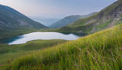 Minimalist landscape of a mountain lake among long green grass