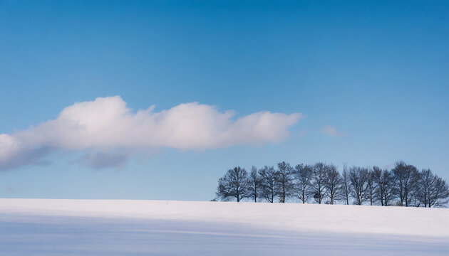 Minimalist Cloud Background; winter landscape with trees; clear sky image