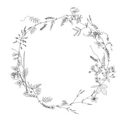 wreath of meadow herbs, frame, vector illustration