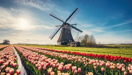 Meubelstickers Spring windmill traditional mill travel nature netherlands tulip holland europe dutch landscape field © richard