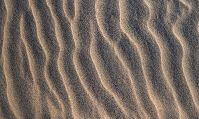 texture of sand