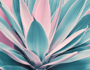 agave leaves in trendy pastel colors for design backgrounds