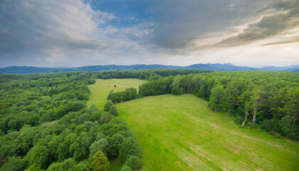Obraz premium beautiful meadow and green forest; aerial shot; bird's eye view