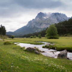 beautiful meadow with a river and mountain in the background