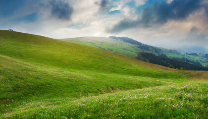 Fototapeta na wymiar beautiful meadow with fresh green grass; concept of wild ag