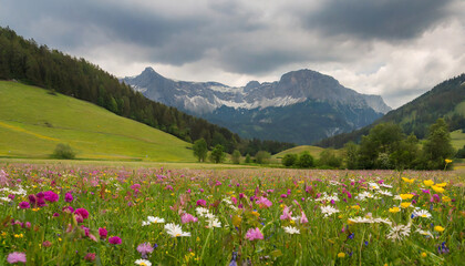 Fototapeta premium beautiful meadow with colorful flowers and mountains at the background