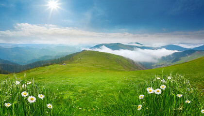 Fototapeta premium beautiful meadow with fresh green grass; concept of wild ag
