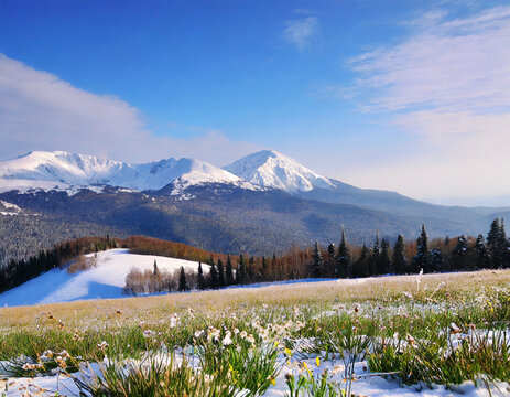 beautiful meadow with a view of the winter mountain shoria
