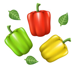 Bell pepper. Red, green and yellow sweet peppers. Vector realistic illustration isolated on white background.