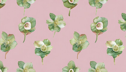 Cute hellebore pattern on pink background, watercolor illustrator, hand painted - obrazy, fototapety, plakaty