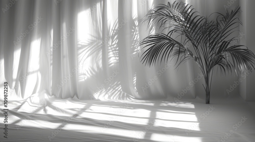 Aufkleber Display product against blurred background. White studio background with shadows of window. Empty room without windows.