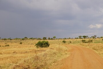 Fototapeta na wymiar african wilderness, landscape, road