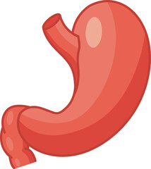 Human Stomach. Vector Illustration of Internal Organ. Medicine Concept