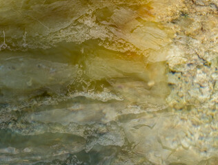 Limestone and algae plaques in hot springs