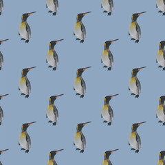 Vector Pattern Of Royal Penguin In Low-Poly Style. A penguin's one-way look