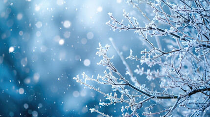 Frost-Kissed Branches Amidst Serene Snowfall