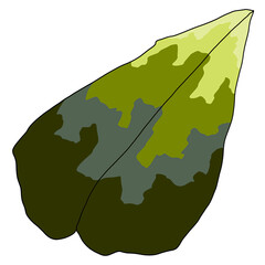 illustration of a leaf