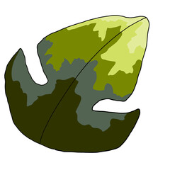 illustration of a leaf