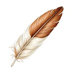 Glasschilderij Veren A brown and white feather on a white background, vintage illustration