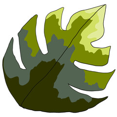 illustration of leaf