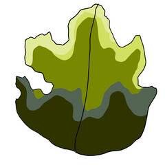 illustration of a leaf