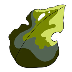 illustration of a leaf