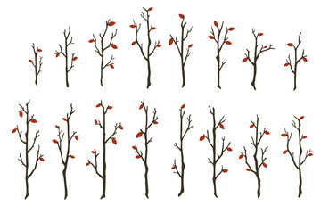 Tree branches set. Hand drawn bare wood sticks with few red leaves vector illustration. Thin forest trees silhouettes isolated on white background. Leaf abscission