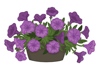 Doodle of petunias in a pot. Spring time flower clipart. Cartoon vector illustration isolated on white background.