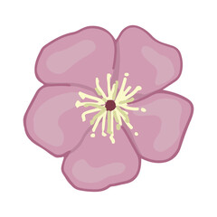 Cherry blossom flower doodle. Spring time botanical clipart. Cartoon vector illustration isolated on white background.