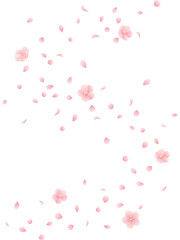 Fototapeta na wymiar グラデーションな桜の花と花びらがS字カーブを描きながら舞う縦背景のイラスト